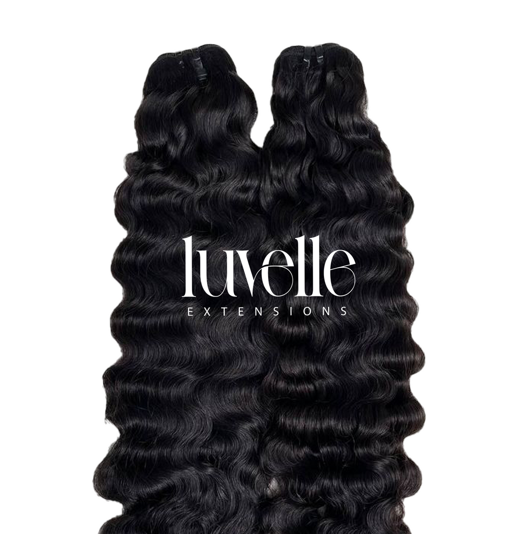Virgin Burmese Curly