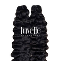 Virgin Burmese Curly